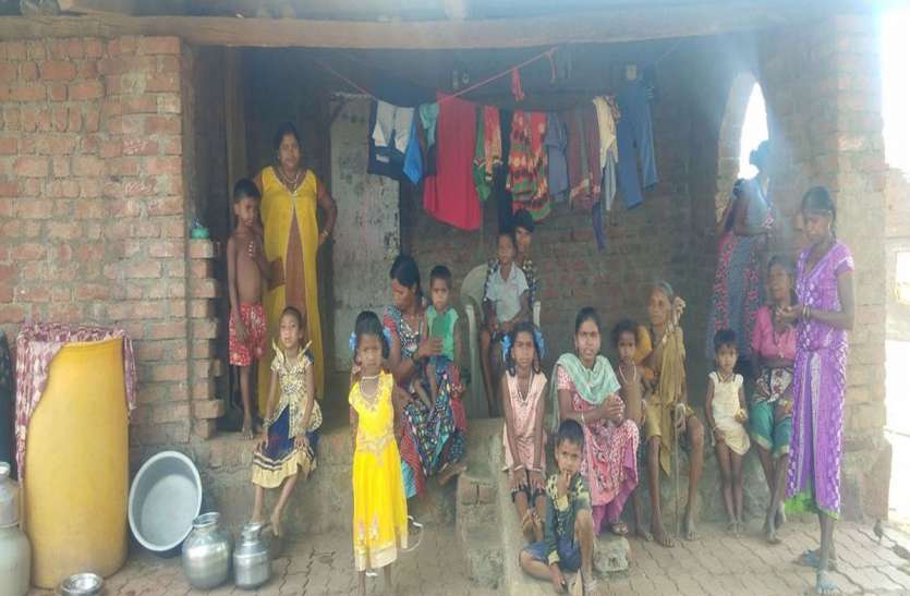 Women's Day Special: आदिवासी महिलाओं तक नहीं पहुंचा विकास Women's Day Special: आदिवासी महिलाओं तक नहीं पहुंचा विकास