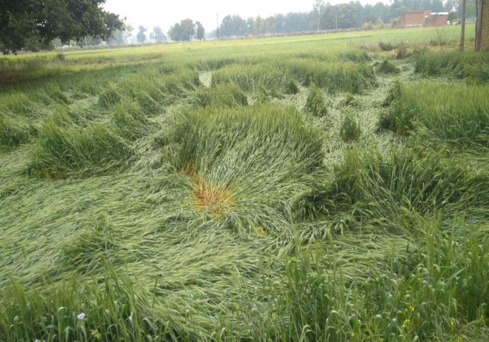 sultanpur1_1.jpg