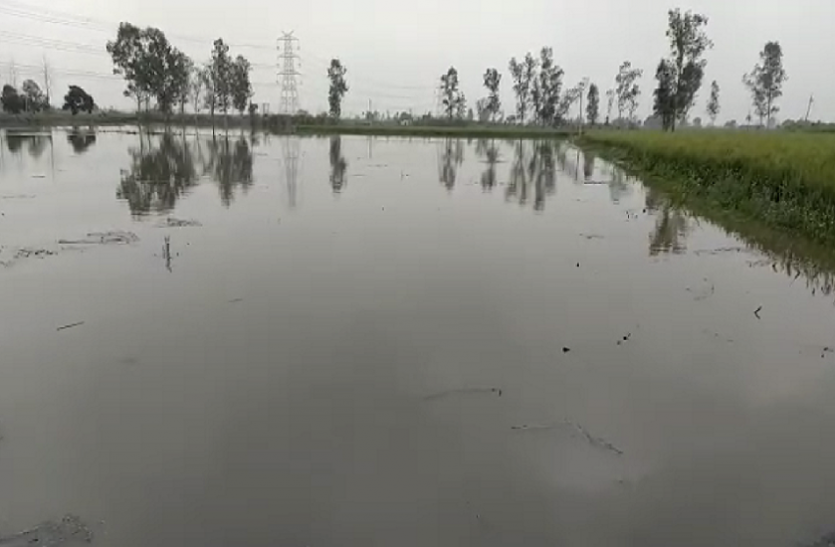 water.png मामोर झील की दीवार टूटी, हजारों बीघा फसलें नष्ट, हर जगह पानी-ही पानी