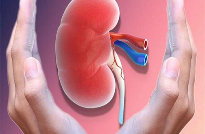 Kidney Health Kidney Health : किडनी को स्वस्थ रखने के लिए करें ये उपाय, इन आदतों से होता है नुकसान