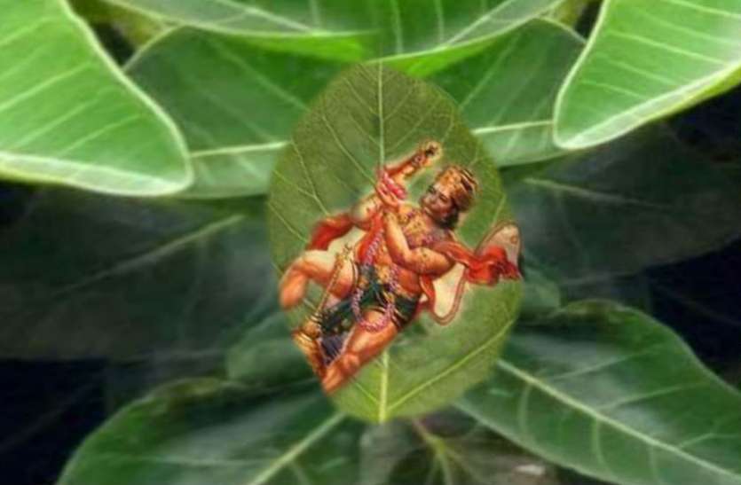 banyan_tree.jpg बरगद के पत्ते से कर लें ये उपाय, चमक जाएगी आपकी किस्मत