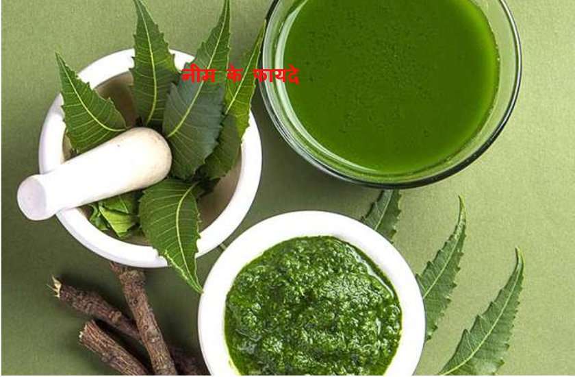 चैत्र मास में नीम की इतनी पत्तियां खाने से दूर हो जाती है गंभीर बीमारियां