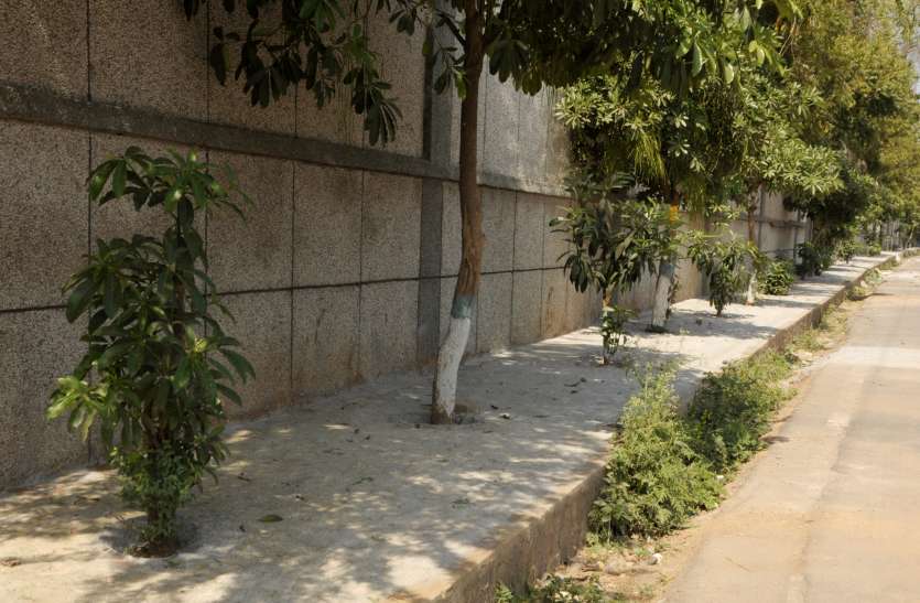 एक व्यक्ति गुजर नहीं सकता वहां बना रहे फुटपाथ एक व्यक्ति गुजर नहीं सकता वहां बना रहे फुटपाथ