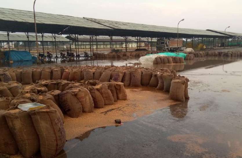 Heavy rain and hail fell in district watch video तेज हवा के साथ बारिश, ओलावृष्टि से फसलों को नुकसान