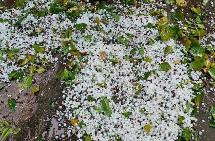 बादलों तथा बेमौसम बरसात से किसानों की बढ़ी परेशानी बादलों तथा बेमौसम बरसात से किसानों की बढ़ी परेशानी