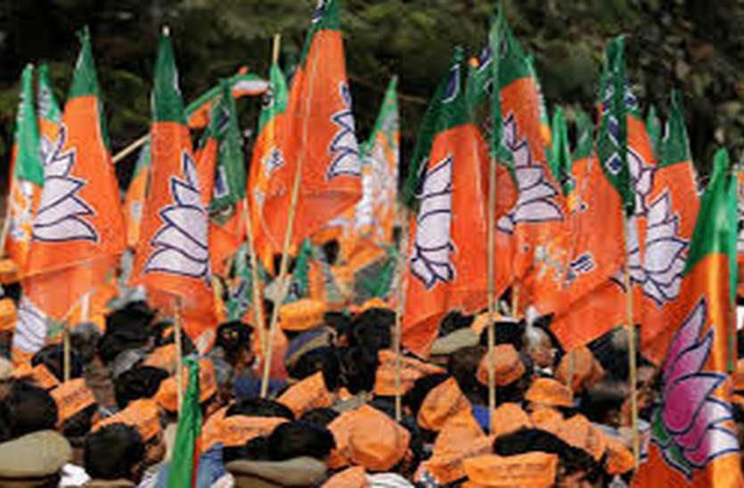 हमेशा शर्मिंदा होने वाले भाजयुमो नेताओं ने तोड़ दिए सारे रिकॉर्ड हमेशा शर्मिंदा होने वाले भाजयुमो नेताओं ने तोड़ दिए सारे रिकॉर्ड