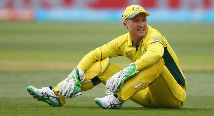 brad_haddin.jpg