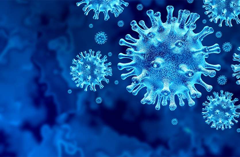 coronavirus कोरोना के संक्रमण से कैसे लड़ रहा है मानव शरीर? शोध में हुआ खुलासा