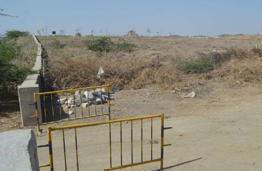 kishanagrh-वन विभाग लगाएगा 10 हजार पौधे kishanagrh-वन विभाग लगाएगा 10 हजार पौधे