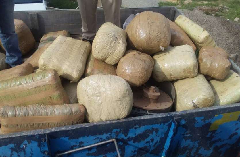 Two quintals of cannabis were being hidden inside the tanker डीजल टैंकर के अंदर छुपाकर ले जा रहे थे दो क्विंटल गांजा