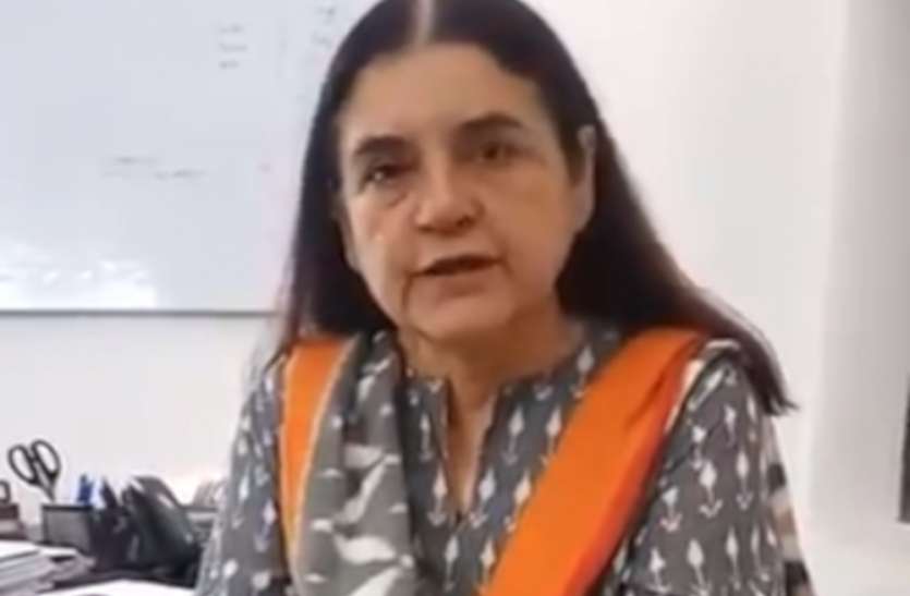 maneka_gandhi.jpg मेनका गांधी ने वीडियो से दिया एक बड़ा बयान, कोरोना वायरस सामान्य फ्लू का है रुपांतरण