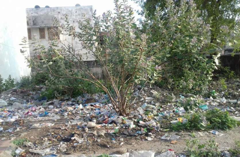 Corona was not affected - the lifting of waste from the cityकोरोना का असर-नहीं हुआ नगर से कचरे का उठाव कोरोना का असर-नहीं हुआ नगर से कचरे का उठाव