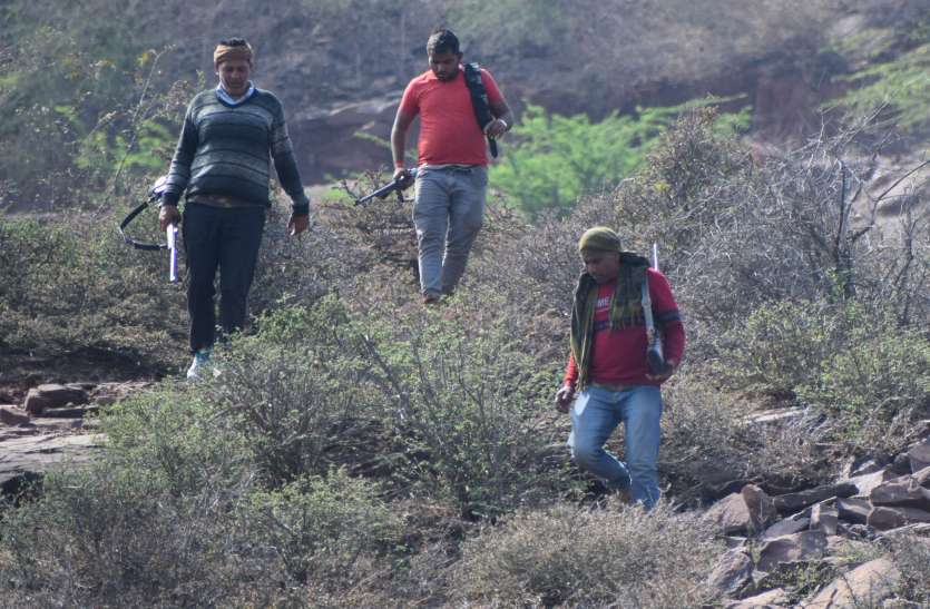 Gunfire in Chambal rugged, police and Pappu dacoits face to face चंबल बीहड़ में गूंजी गोलियां, पुलिस और पप्पू डकैत आमने-सामने
