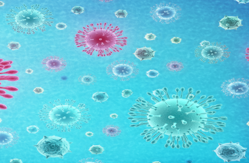 आंध्र प्रदेश में पैर पसार रहा Coronavirus, यूरोप से लौटे 2 लोग पॉजिटिव आंध्र प्रदेश में पैर पसार रहा Coronavirus, यूरोप से लौटे 2 लोग पॉजिटिव
