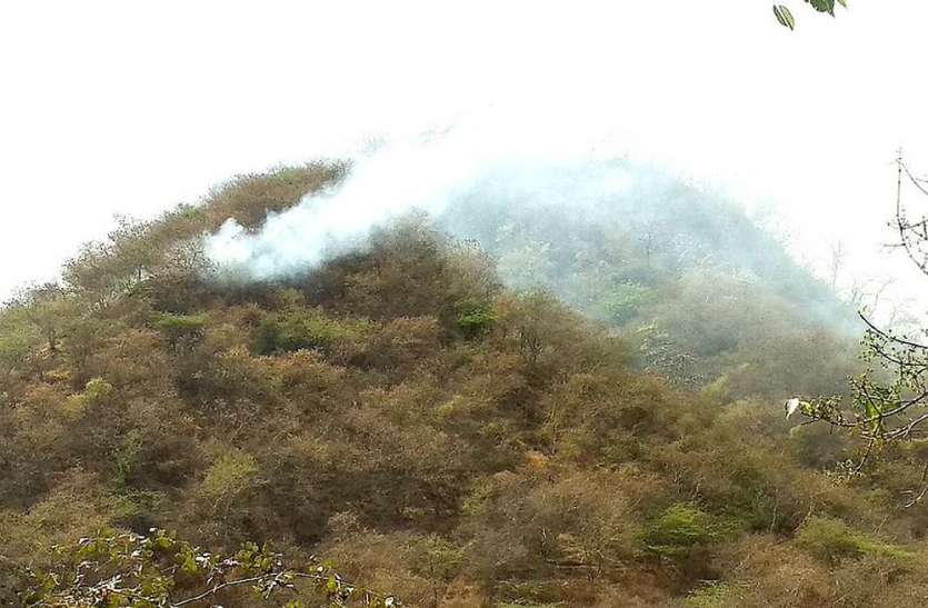 Fire burning in Meghjean Valley for two days मेघजीन घाटी में दो दिन से जल रही आग