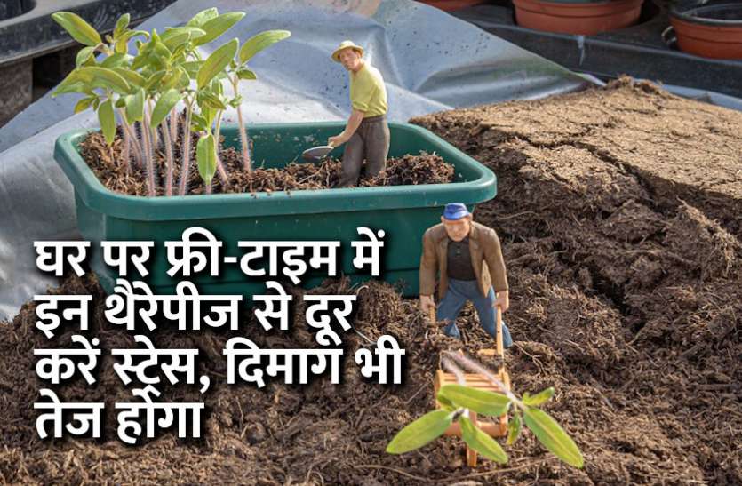 career tips in hindi, education news in hindi, education, startups, success mantra, start up, Management Mantra, motivational story, inspirational story in hindi, motivational story in hindi घर पर फ्री-टाइम में इन थैरेपीज से दूर करें स्ट्रेस, दिमाग भी तेज होगा
