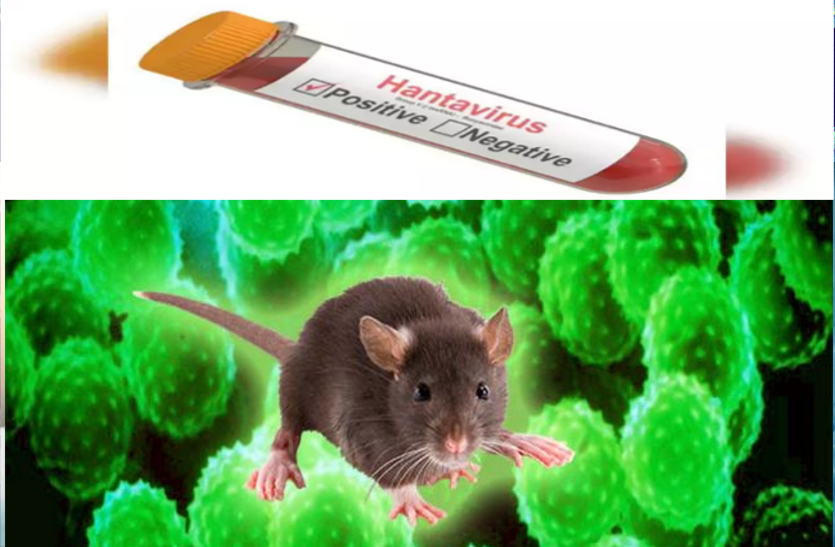 #Hantavirus: अब आ गया हंता वायरस, चीन में हुई एक की मौत, जानें इसके बारे में #Hantavirus: अब आ गया हंता वायरस, चीन में हुई एक की मौत, जानें इसके बारे में