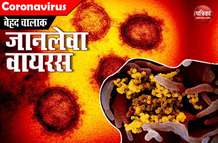 23 people have returned from abroad, quarantined 10 विदेशों से अब तक 23 लोग लौटे, 10 को किया क्वारंटाइन
