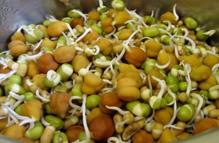 अंकुरित दाल है बहुत फायदेमंद अंकुरित दाल है बहुत फायदेमंद