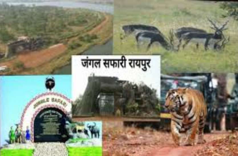 लापरवाही: दावं पर है बेजुबानो की जिंदगी,बिना जांच वन्य प्राणियों को खाना परोसे रहे वनकर्मी लापरवाही: दावं पर है बेजुबानो की जिंदगी,बिना जांच वन्य प्राणियों को खाना परोसे रहे वनकर्मी