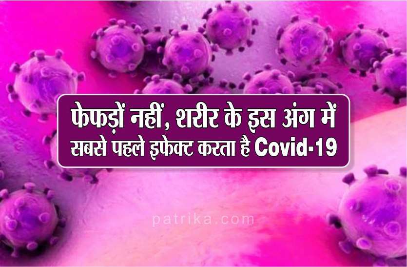 photo6332498415879039269.jpg Coronavirus: फेफड़ों नहीं, शरीर के इस अंग में सबसे पहले इफेक्ट करता है Covid-19