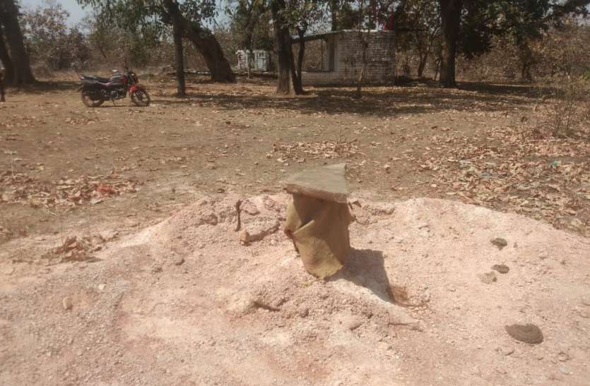 सागवान के प्लांटेशन में हो गया बोर खनन, वन विभाग को पता तक नहीं सागवान के प्लांटेशन में हो गया बोर खनन, वन विभाग को पता तक नहीं
