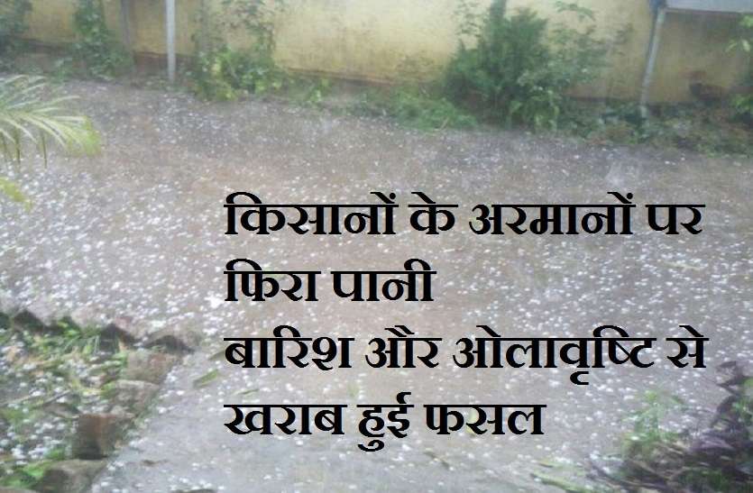 किसानों के अरमानों पर फिरा पानी,बारिश और ओलावृष्टि से फसलों को हुआ नुकसान किसानों के अरमानों पर फिरा पानी,बारिश और ओलावृष्टि से फसलों को हुआ नुकसान