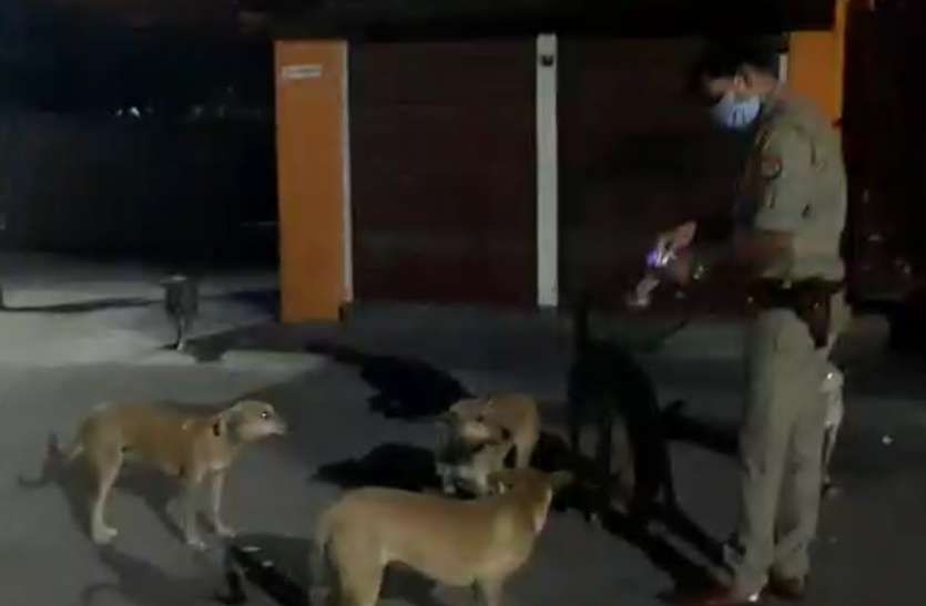 meerut Lockdown: गरीबों और बेजुबानों के लिए मसीहा से कम नहीं पुलिस, इस तरह की जा रही इनकी मदद