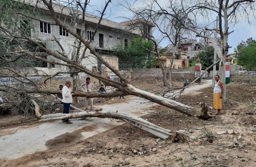 Power poles uprooted in the storm तूफान में उखड़े बिजली खंभे