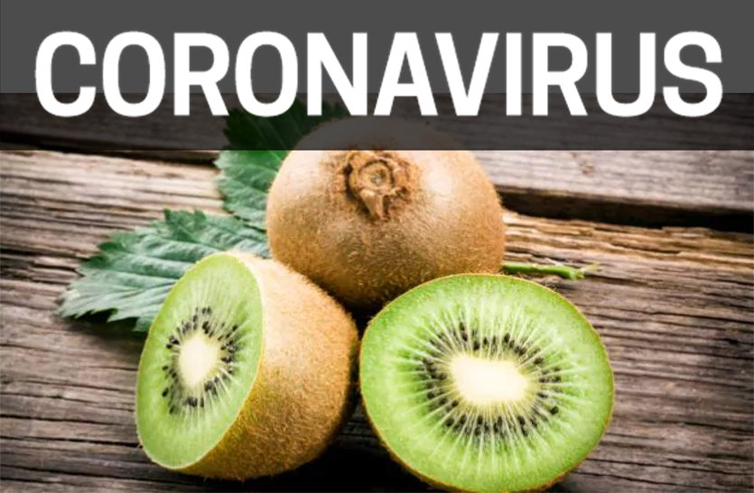 coronavirus: कीवी खाने से बढ़ती है इम्यूनिटी, मिलेगी विटामिन-सी coronavirus: कीवी खाने से बढ़ती है इम्यूनिटी, मिलेगी विटामिन-सी