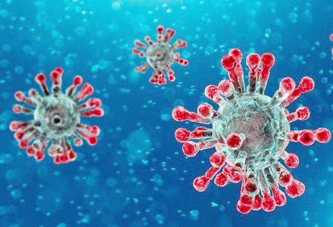 coronavirus2_660_230320043049.jpg