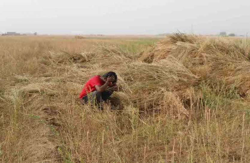 Farmers Facing Loss Due To Lock Down And Corona virus कोरोना की वजह से किसानों को पड़ रही है दोहरी मार, पहले ओलावृष्टि ने रुलाया, अब बची-कुछ फसलों को नहीं मिल रहा दाम
