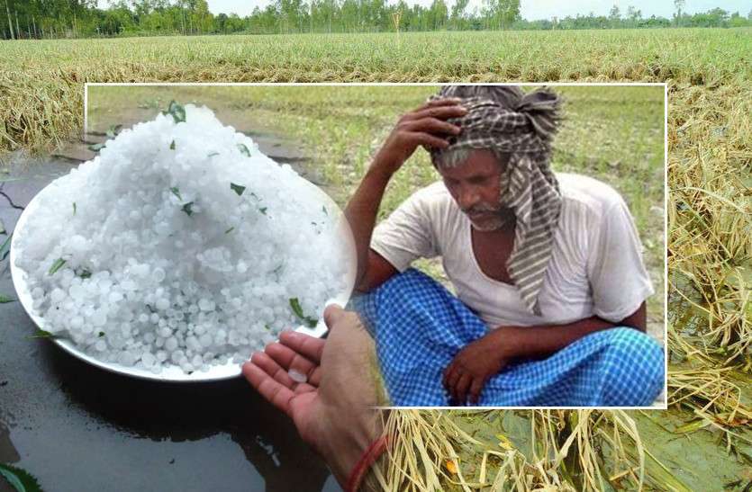 hailstorm.jpg प्रदेश के 26 जिलों में अंधड़-बारिश-ओलों का अलर्ट, इन जिलों में हो सकता है किसानों को भारी नुकसान