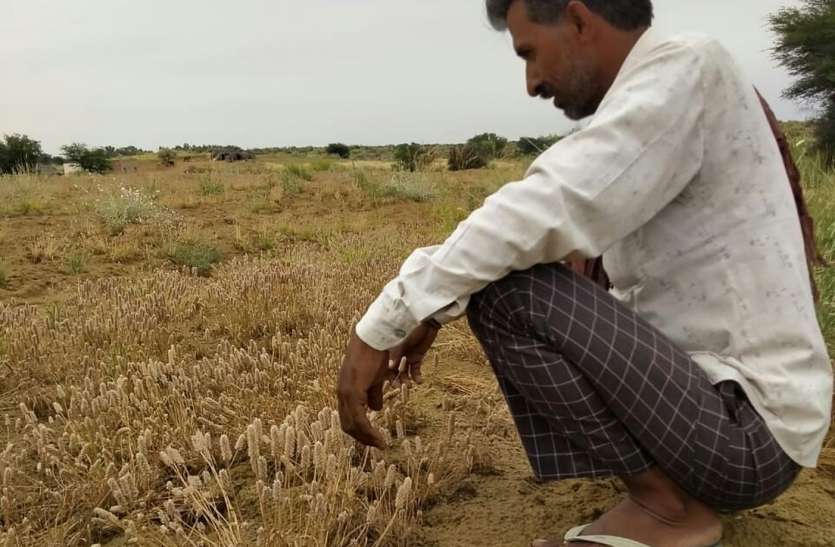 बेमौसम बारिश के साथ फसलों पर गिरे ओले, अरमानों पर बरसे शोले बेमौसम बारिश के साथ फसलों पर गिरे ओले, अरमानों पर बरसे शोले