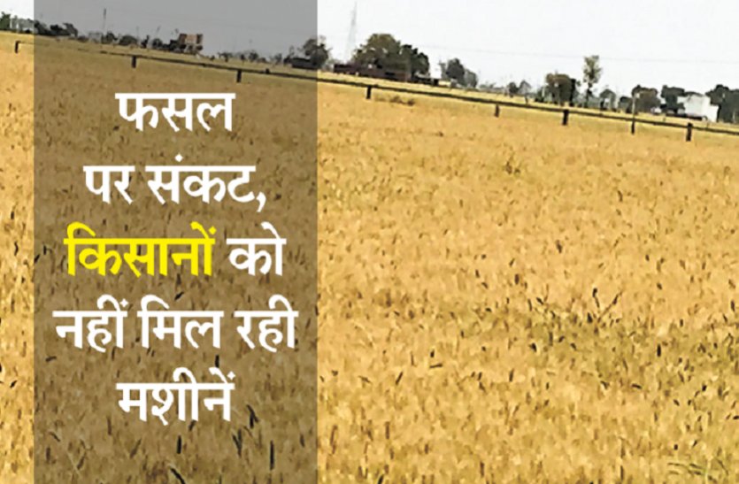 दोहरी मार में अन्नदाता को मिले दोगुनी राहत दोहरी मार में अन्नदाता को मिले दोगुनी राहत