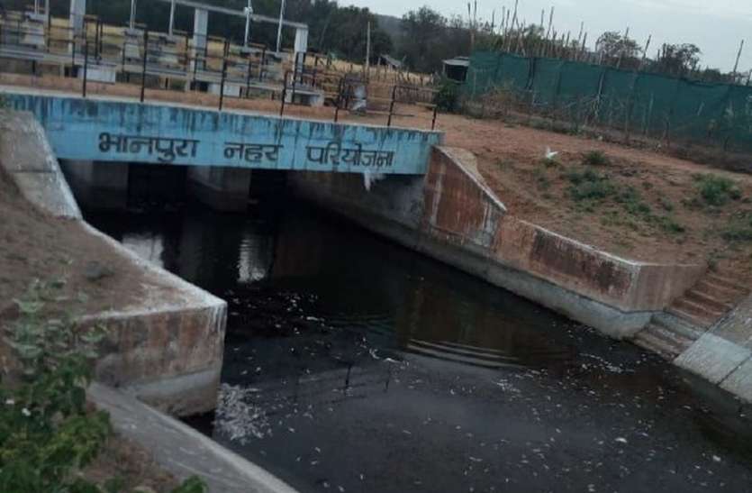 रेवा नदी के बैराज में अज्ञात कारणों से हजारों मछलियां मरी रेवा नदी के बैराज में अज्ञात कारणों से हजारों मछलियां मरी