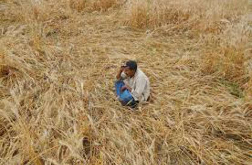 बदला मौसम, तेज हवाओं के साथ हुई बारिश, कई मकानों की छत उड़ी, फसल आड़ी बदला मौसम, तेज हवाओं के साथ हुई बारिश, कई मकानों की छत उड़ी, फसल आड़ी