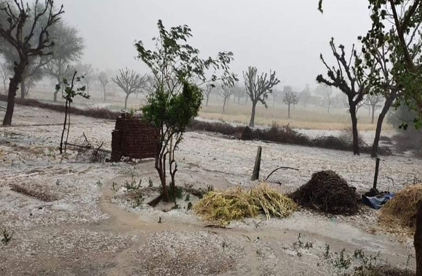 Weather In Churu: अचानक पलटा मौसम, ओलाबारी के साथ हुई बारिश Weather In Churu: अचानक पलटा मौसम, ओलाबारी के साथ हुई बारिश