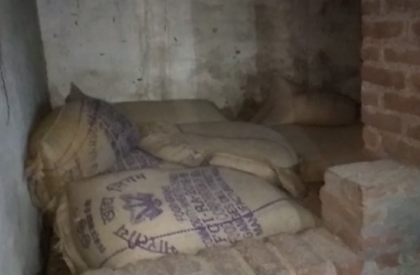 wheat.png जमाखोरों के खिलाफ पुलिस ने की बड़ी कार्रवाई, 48 क्विंटल गेहूं किया गया जब्त