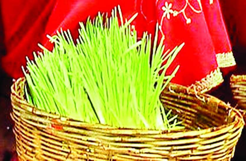जोत-जवारा जोत-जवारा