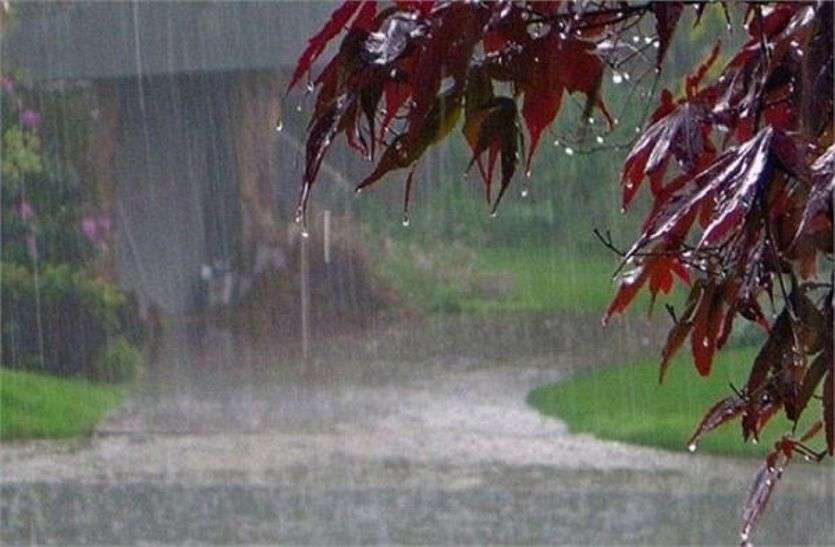 rain in ajmer Rain in Ajmer: लगातार पड़ रही फुहारें, मौसम में बढ़ी ठंडक