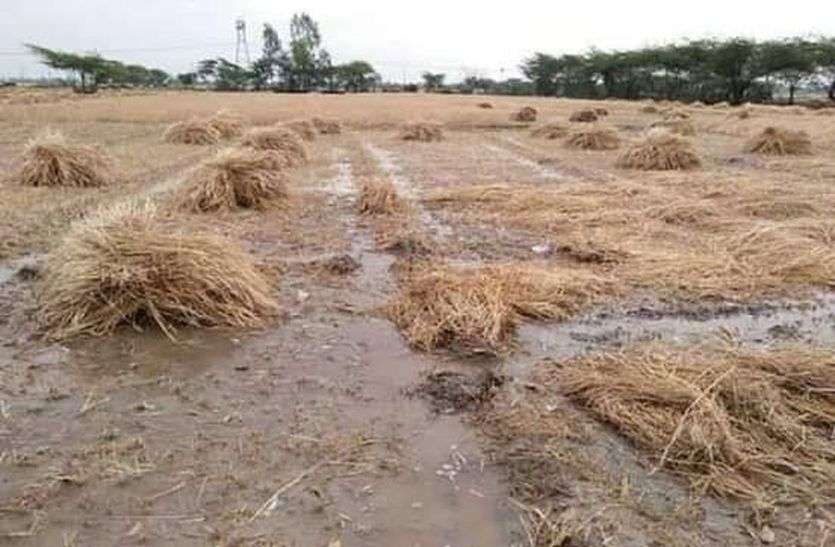कोरोना के साथ कुदरत के कहर ने किया किसानों को बर्बाद कोरोना के साथ कुदरत के कहर ने किया किसानों को बर्बाद