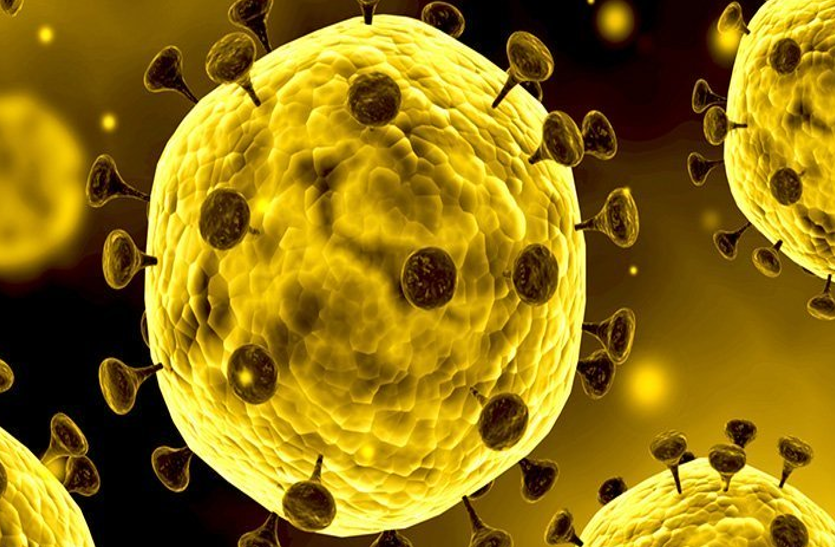 कश्मीर में Coronavirus का कहर, 4 नए पॉजिटिव केस आए सामने कश्मीर में Coronavirus का कहर, 4 नए पॉजिटिव केस आए सामने