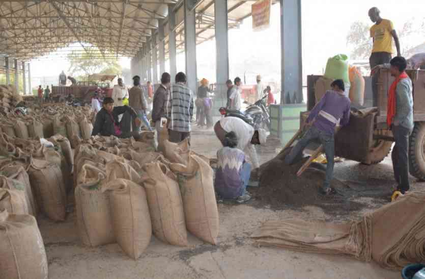 supply of grains in jodhpur anaj mandi reduced during lockdown india लॉकडाउन के चलते मंडियों में होने लगी है अनाज की कमी, सरकारों ने नहीं की पहल तो विकट हो जाएंगे हालात