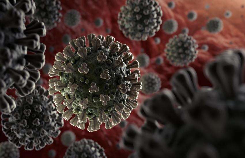 virus1.jpg