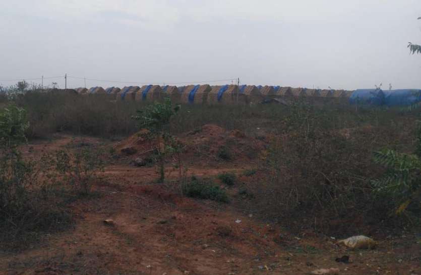 Marketing department's negligence in protecting paddy मौसम खराब: हो रही बूंदाबांदी फिर भी असुरक्षित 53 हजार मिट्रिक टन, फिर सामने आई विपणन विभाग की बेपरवाही