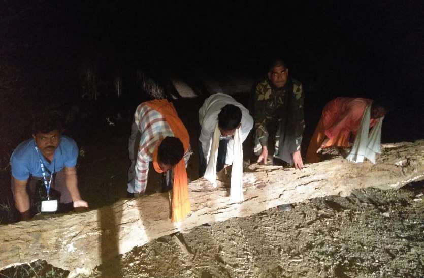 प्रसव पीड़ा में तड़पती गर्भवती के लिए लॉकडाउन में फरिश्ता बनकर पहुंचे स्वास्थ्यकर्मी, गांव का रास्ता खोल पहुंचाया अस्पताल