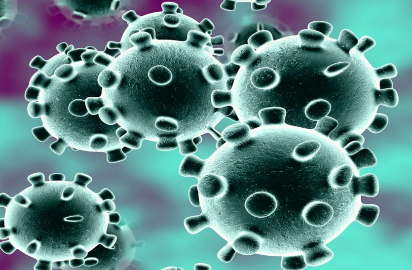 घाटी से 5 नए Coronavirus पॉजिटिव मामले, 24 घंटे में दूसरी मौत घाटी से 5 नए Coronavirus पॉजिटिव मामले, 24 घंटे में दूसरी मौत