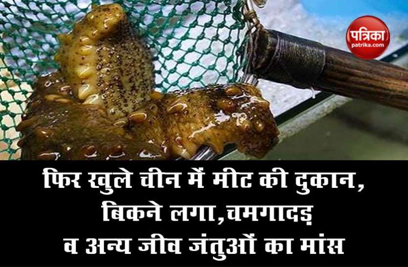फिर खुले चीन में मीट की दुकान, बिकने लगा, चमगादड़ व अन्य जीव जंतुओं का मांस फिर खुल गई चीन में मीट की दुकान, बिकने लगा, चमगादड़ व अन्य जीव जंतुओं का मांस