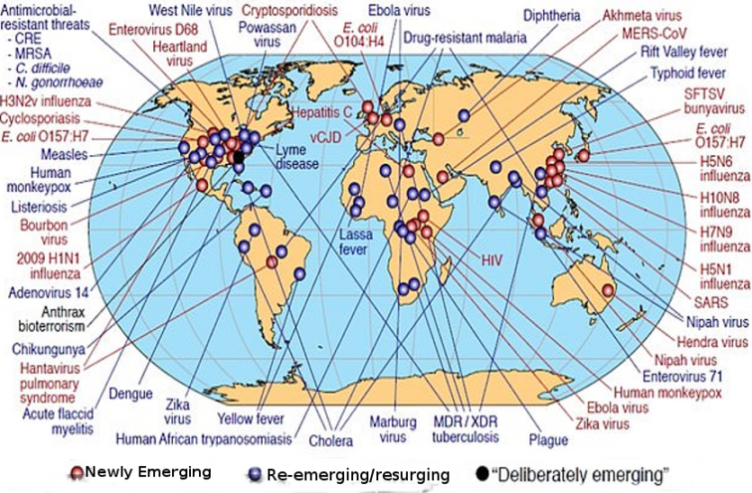 World at Risk, Flu like Covid-19 could kill 80 million in 36 Hours Coronavirus Update: 36 घंटों में हो सकती है 80 करोड़ लोगों की माैत, GPMB ने दी थी चेतावनी